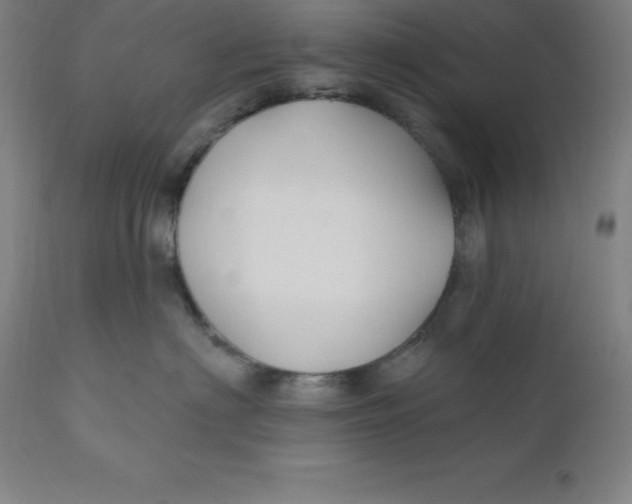 X0000110700622200907021959