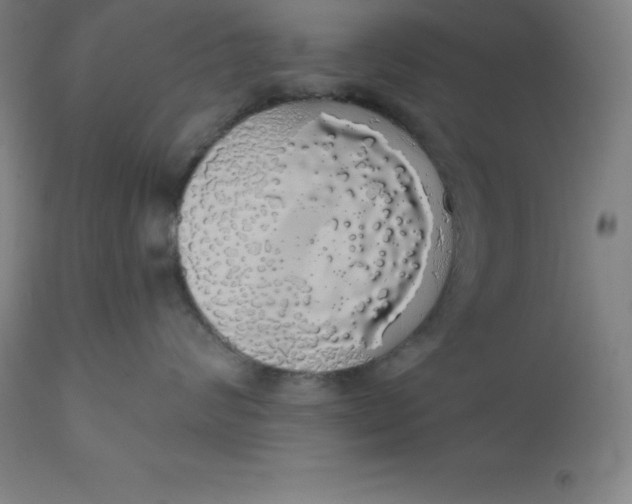 X0000110700624200907021959