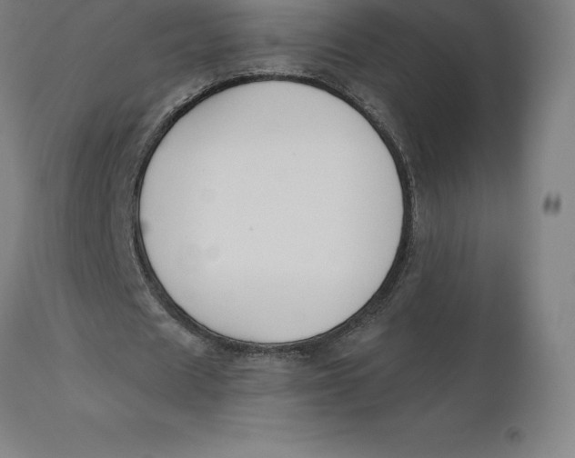 X0000110700625200907021958