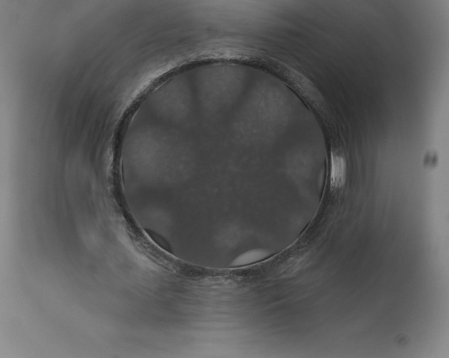 X0000110700627200907021958