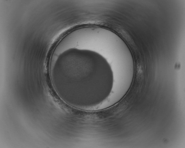 X0000110700628200907021958