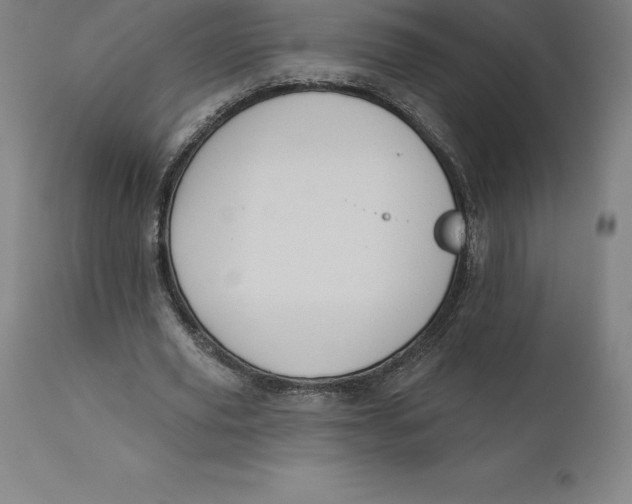 X0000110700629200907021958