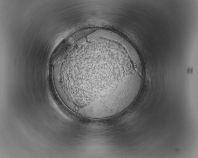 X0000110700630200907021958