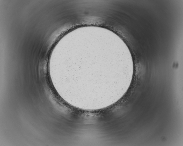 X0000110700632200907021958
