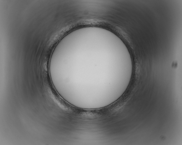 X0000110700633200907021958