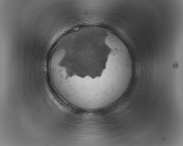 X0000110700634200907021958