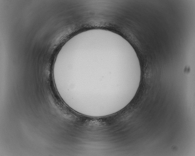 X0000110700635200907021958