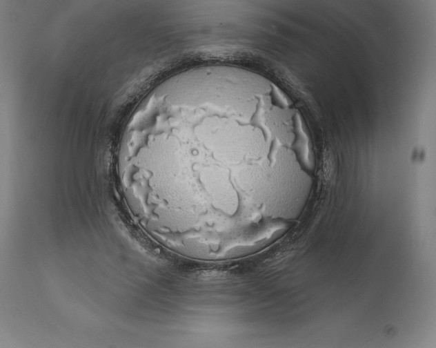 X0000110700637200907021958
