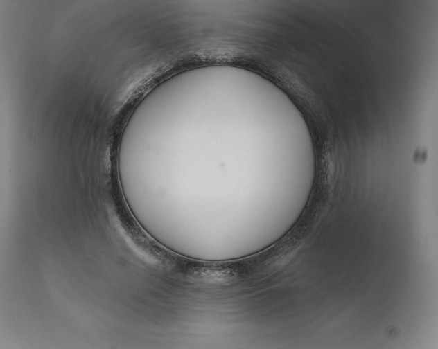 X0000110700638200907021958