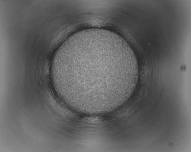 X0000110700639200907021958