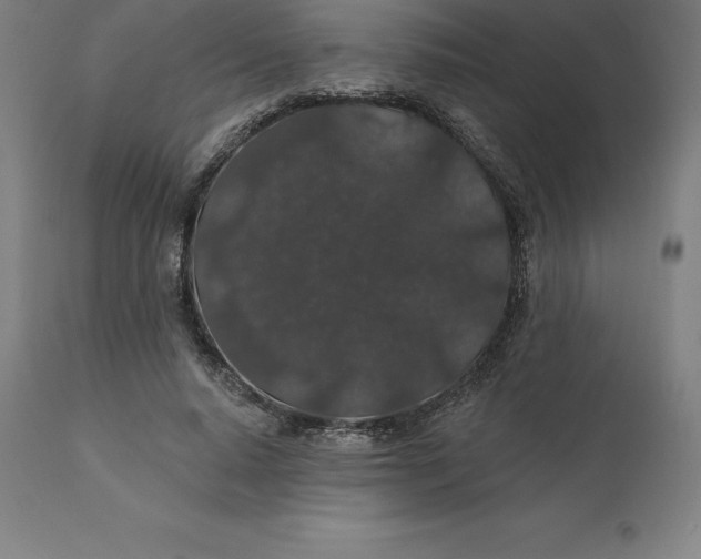 X0000110700640200907021958