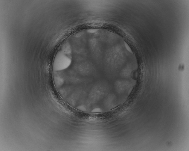 X0000110700641200907021958