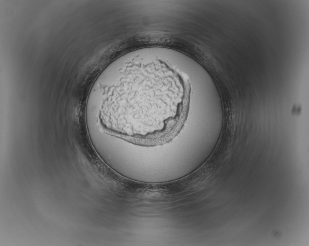 X0000110700643200907021958