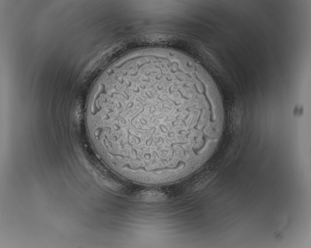 X0000110700644200907021958