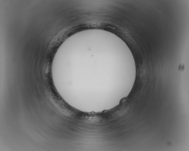 X0000110700645200907021958