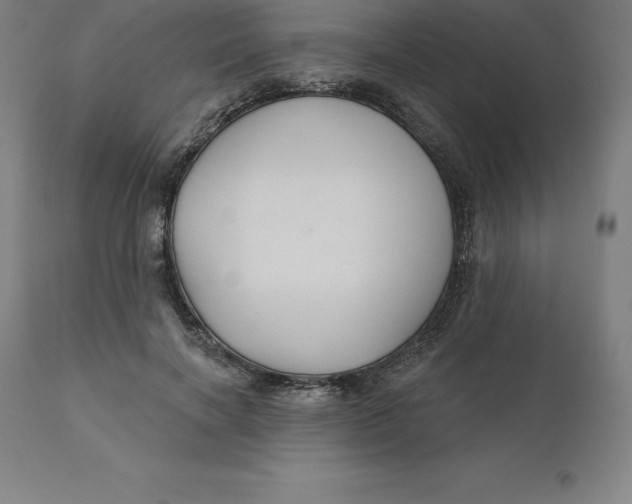 X0000110700646200907021958