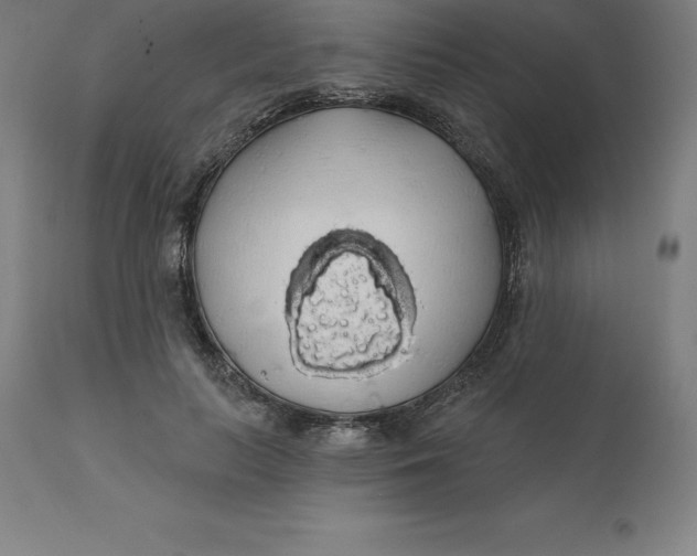 X0000110700647200907021958