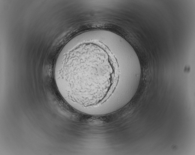 X0000110700648200907021958