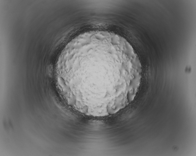 X0000110700649200907021958