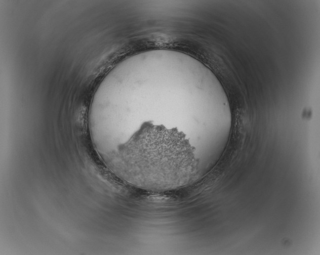 X0000110700650200907021958