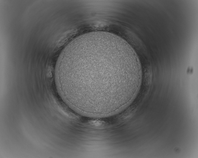 X0000110700654200907021958