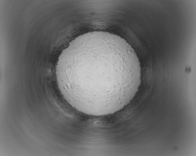 X0000110700655200907021958