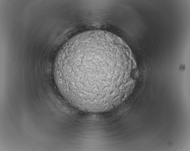 X0000110700656200907021958