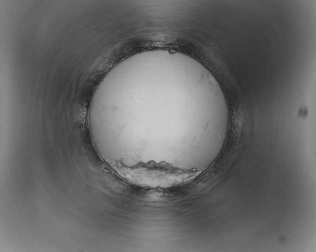 X0000110700657200907021958
