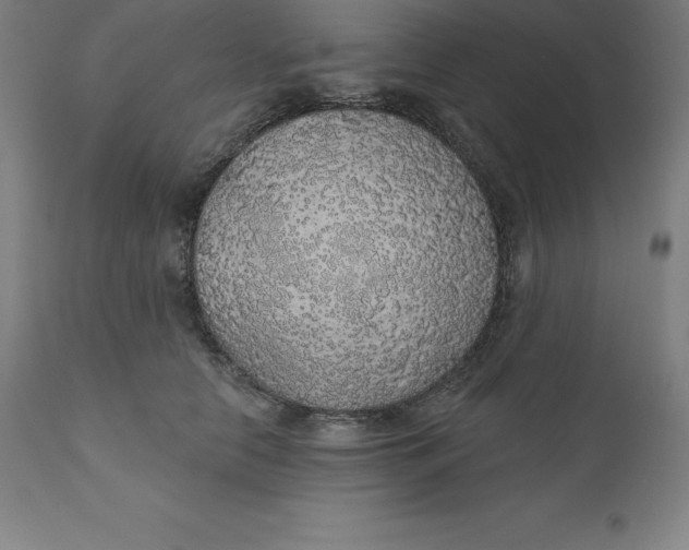 X0000110700658200907021959
