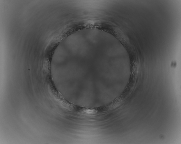 X0000110700659200907021959