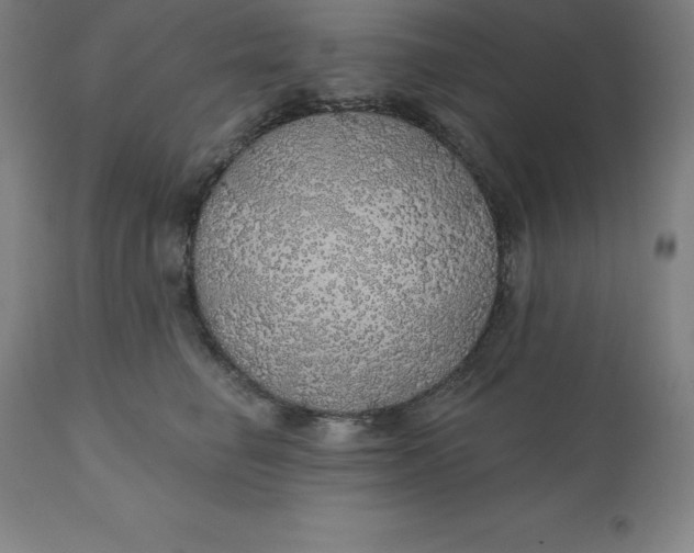 X0000110700662200907021959