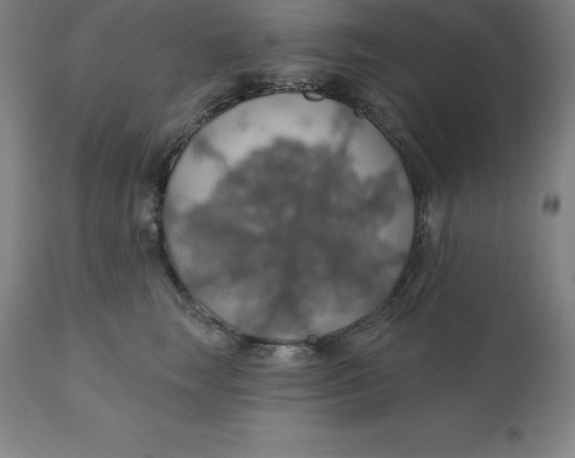 X0000110700663200907021959