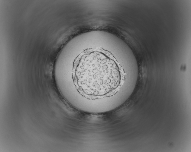 X0000110700664200907021959
