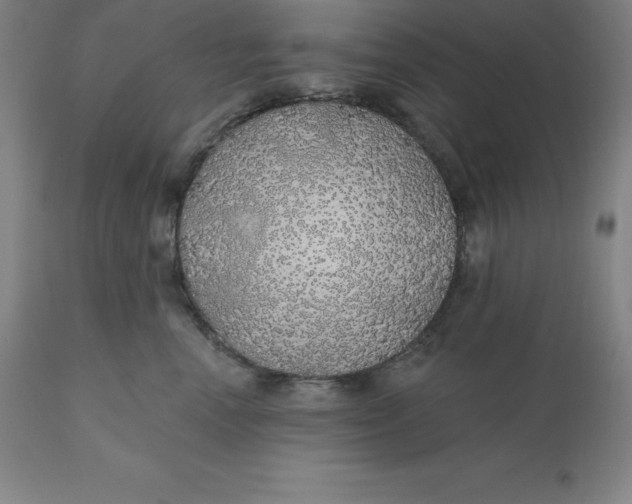 X0000110700666200907021959