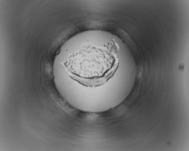 X0000110700669200907021959