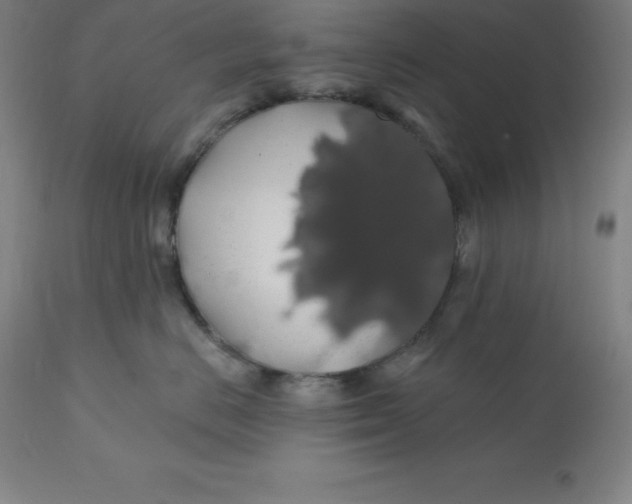 X0000110700670200907021959