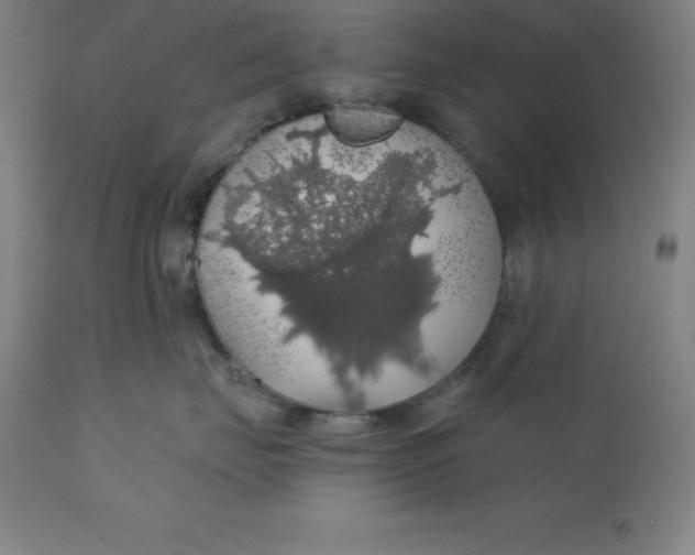 X0000110700671200907021959