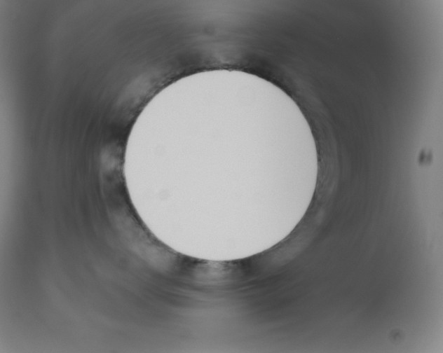 X0000110700672200907021959