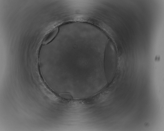 X0000110700673200907021958
