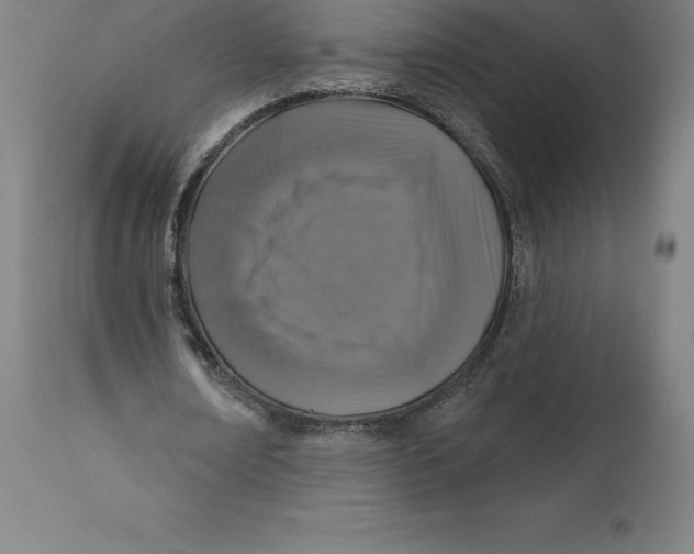 X0000110700674200907021958