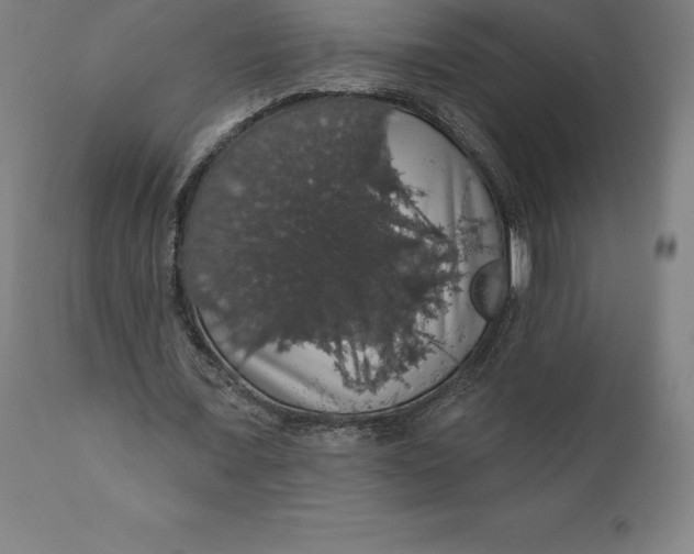 X0000110700675200907021958