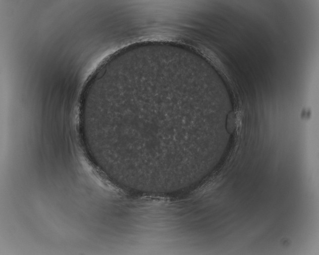 X0000110700676200907021958