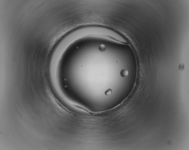 X0000110700677200907021958