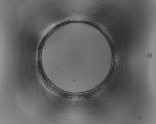 X0000110700678200907021958