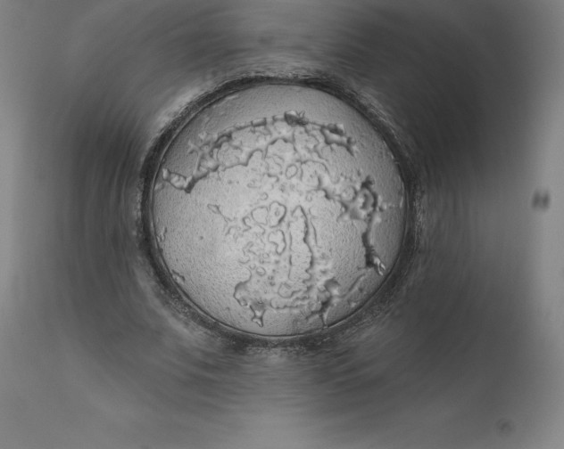 X0000110700679200907021958