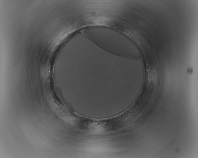 X0000110700680200907021958