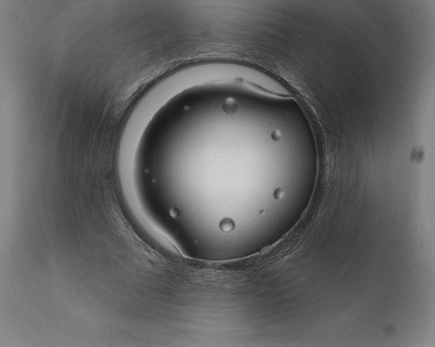 X0000110700681200907021958
