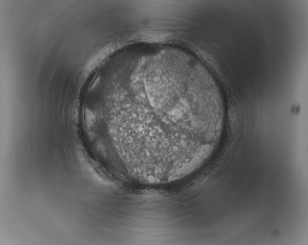 X0000110700682200907021958