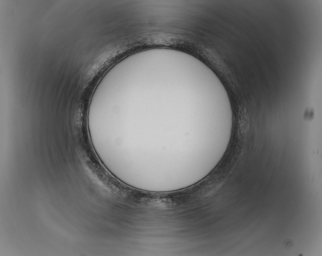 X0000110700683200907021958