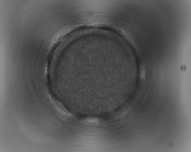 X0000110700685200907021958